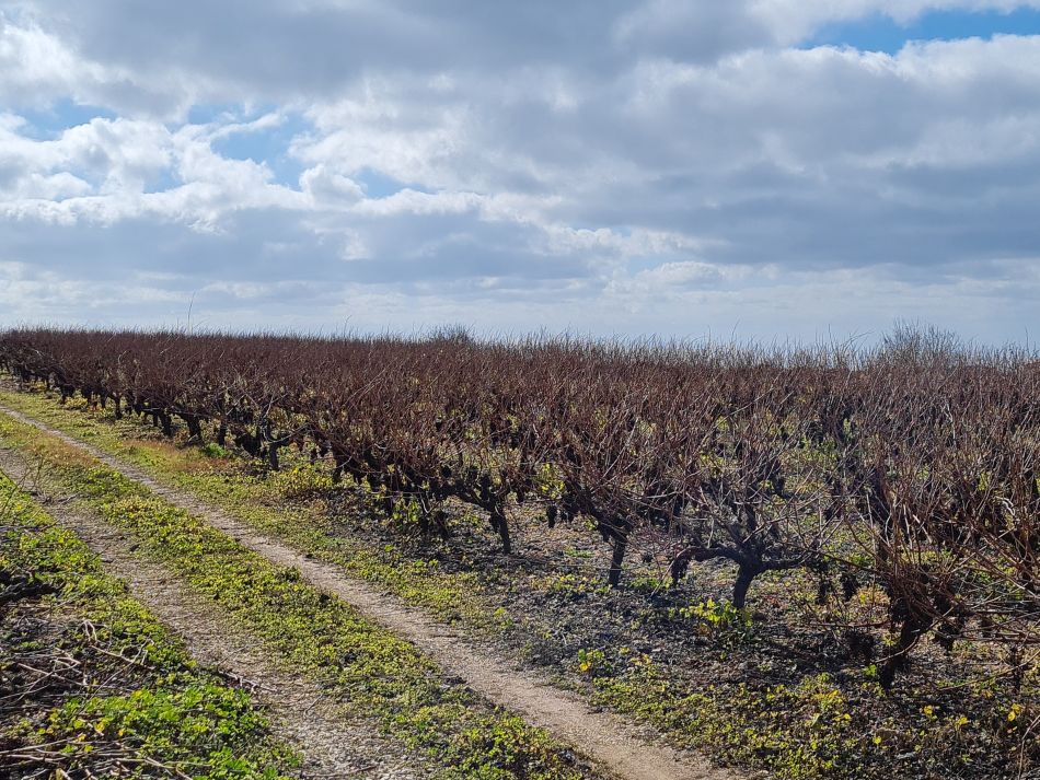 2023-02-02 04 Kathikas to Agios Georgios.jpg