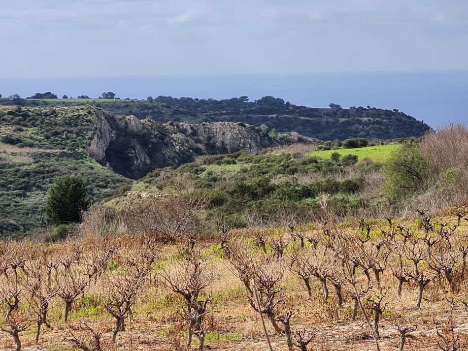 2023-02-02 08 Kathikas to Agios Georgios.jpg