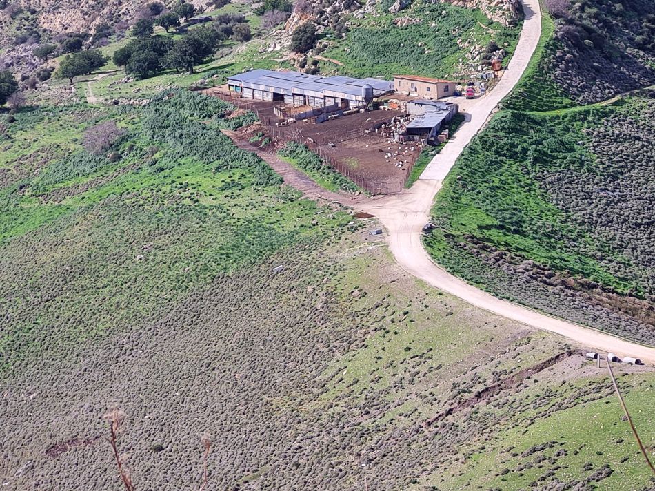 2023-02-02 11 Kathikas to Agios Georgios.jpg