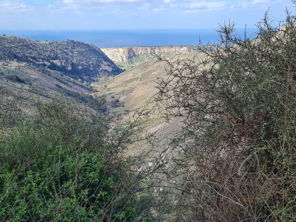 2023-02-02 13 Kathikas to Agios Georgios.jpg