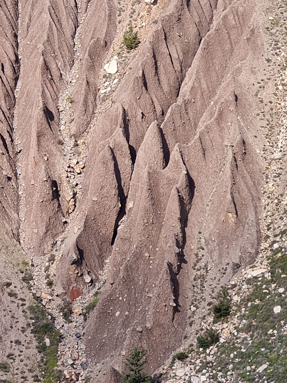 2023-02-02 16 Kathikas to Agios Georgios.jpg