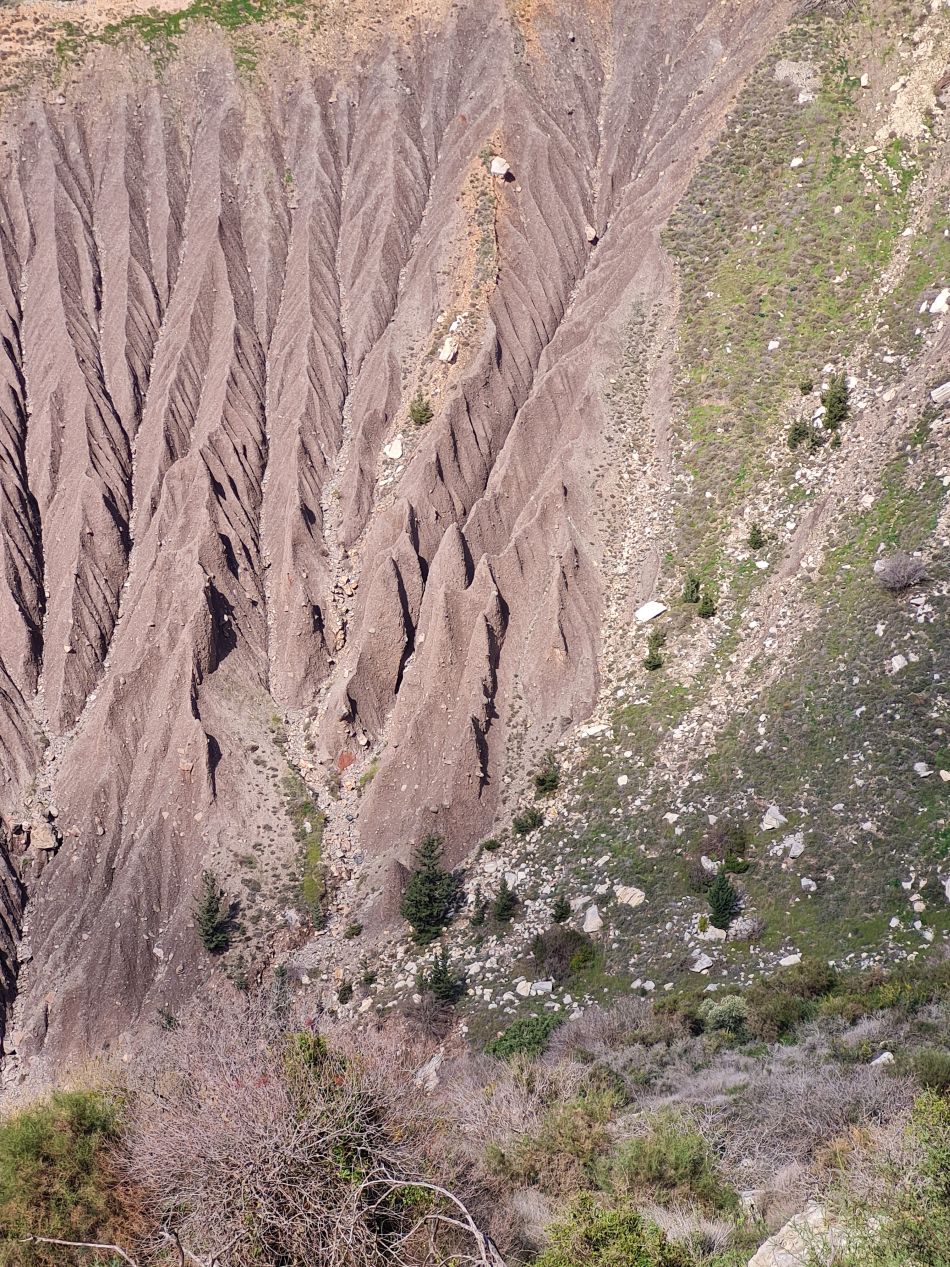 2023-02-02 17 Kathikas to Agios Georgios.jpg