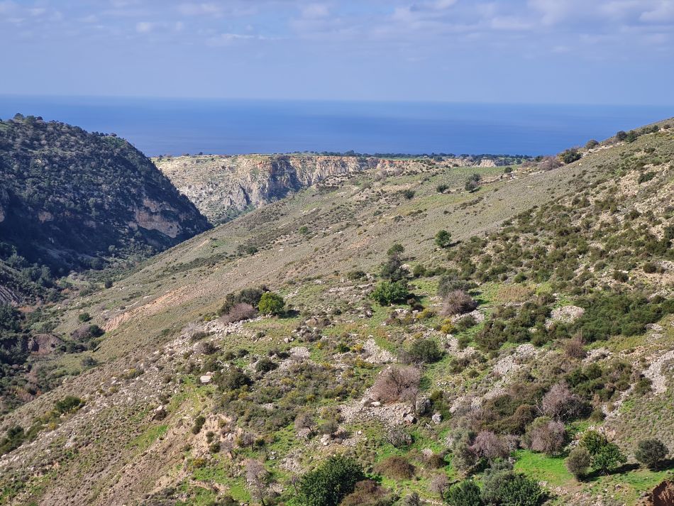 2023-02-02 20 Kathikas to Agios Georgios.jpg