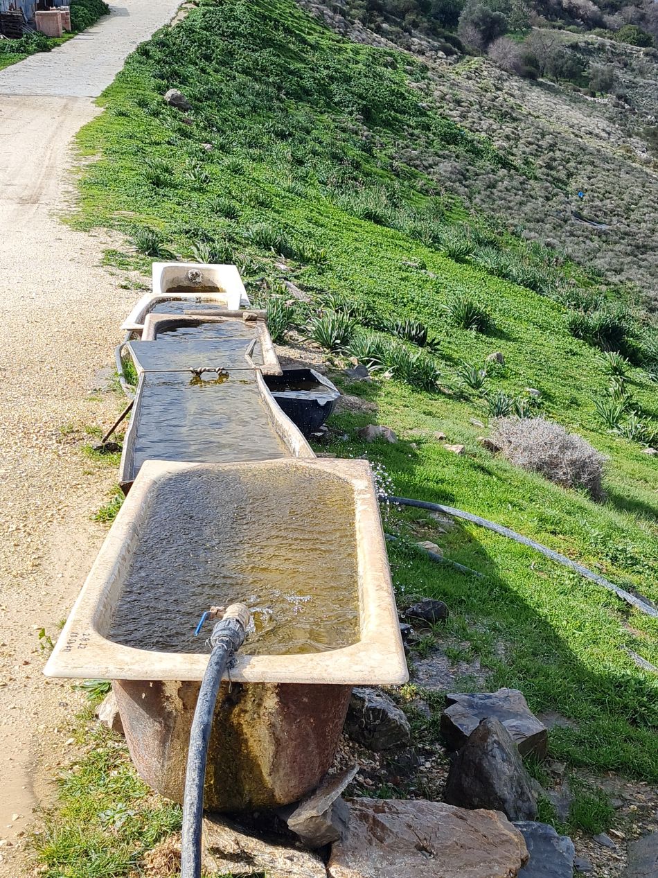 2023-02-02 23 Kathikas to Agios Georgios.jpg