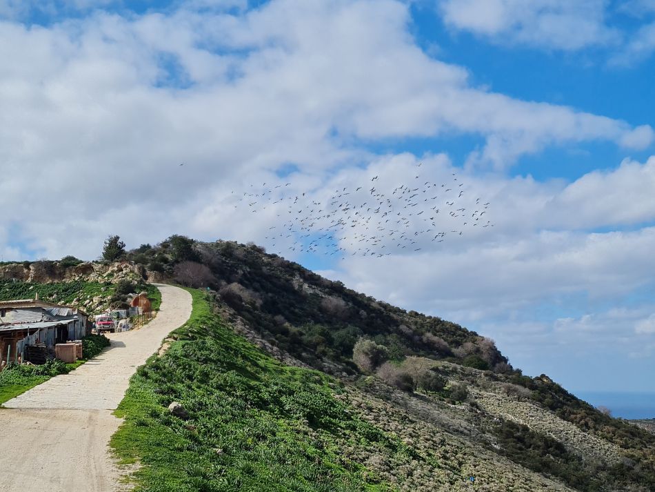 2023-02-02 24 Kathikas to Agios Georgios.jpg