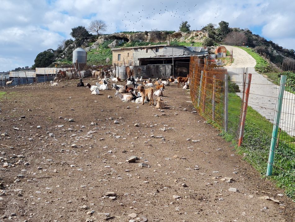 2023-02-02 25 Kathikas to Agios Georgios.jpg