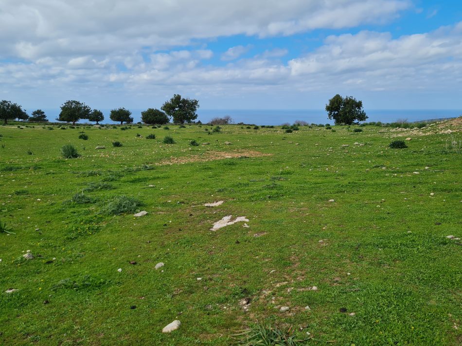 2023-02-02 27 Kathikas to Agios Georgios.jpg