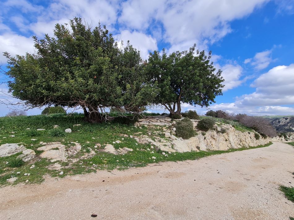 2023-02-02 30 Kathikas to Agios Georgios.jpg