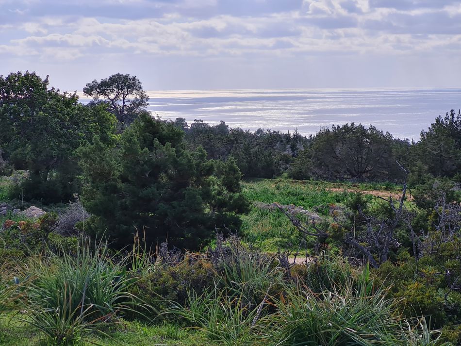 2023-02-02 43 Kathikas to Agios Georgios.jpg