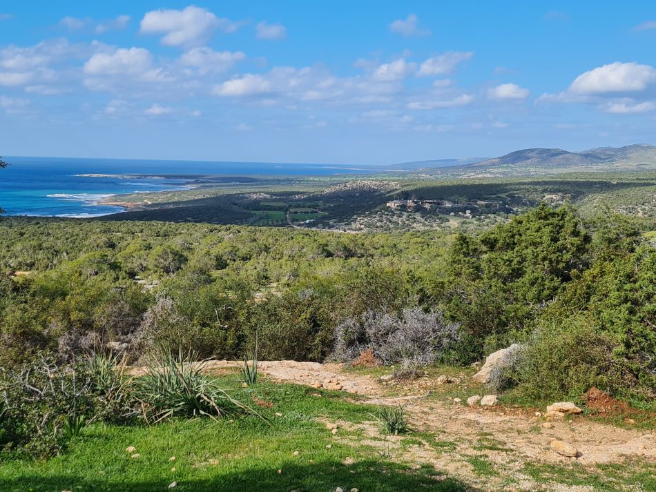 2023-02-02 46 Kathikas to Agios Georgios.jpg