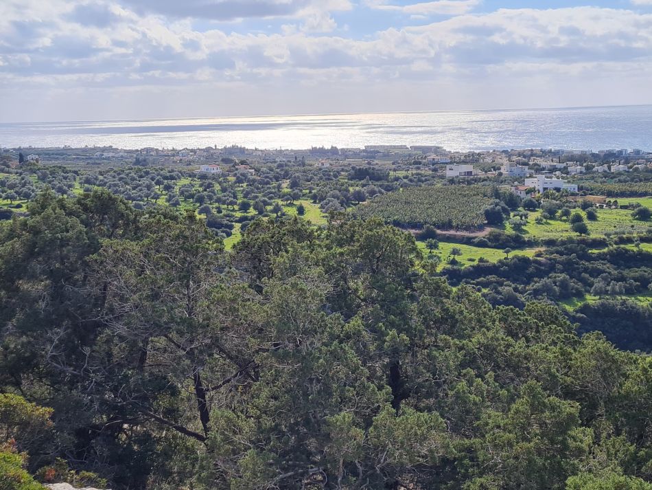 2023-02-02 47 Kathikas to Agios Georgios.jpg