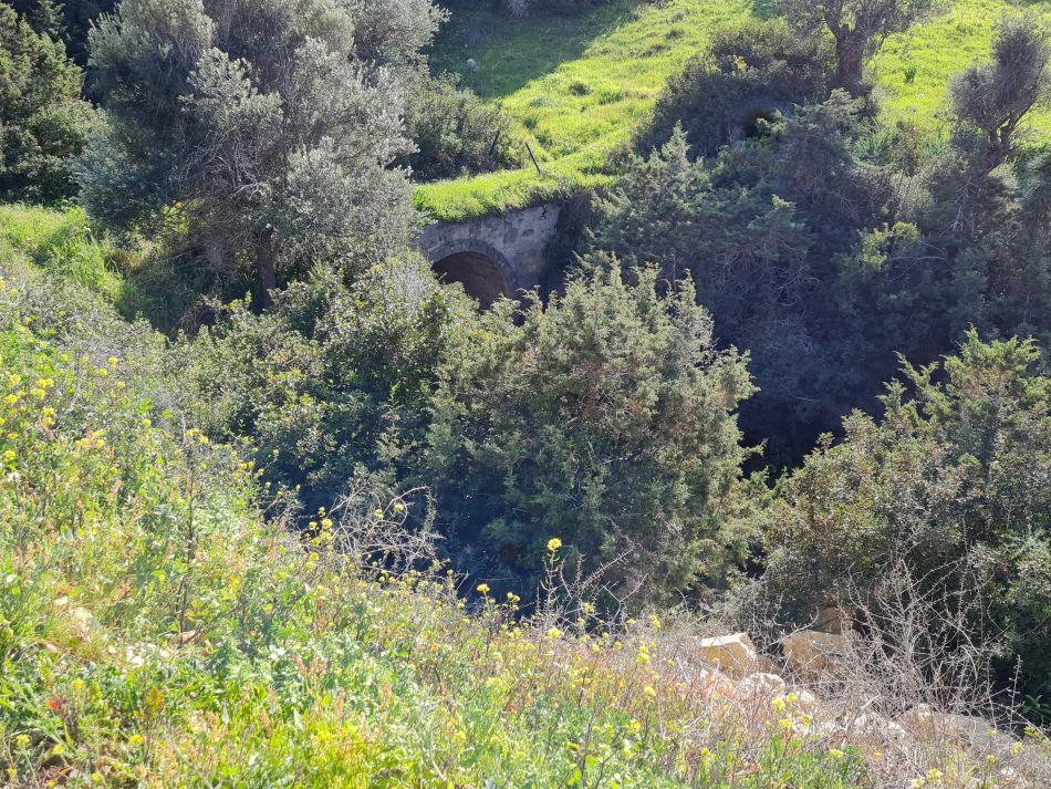 2023-02-02 51 Kathikas to Agios Georgios.jpg