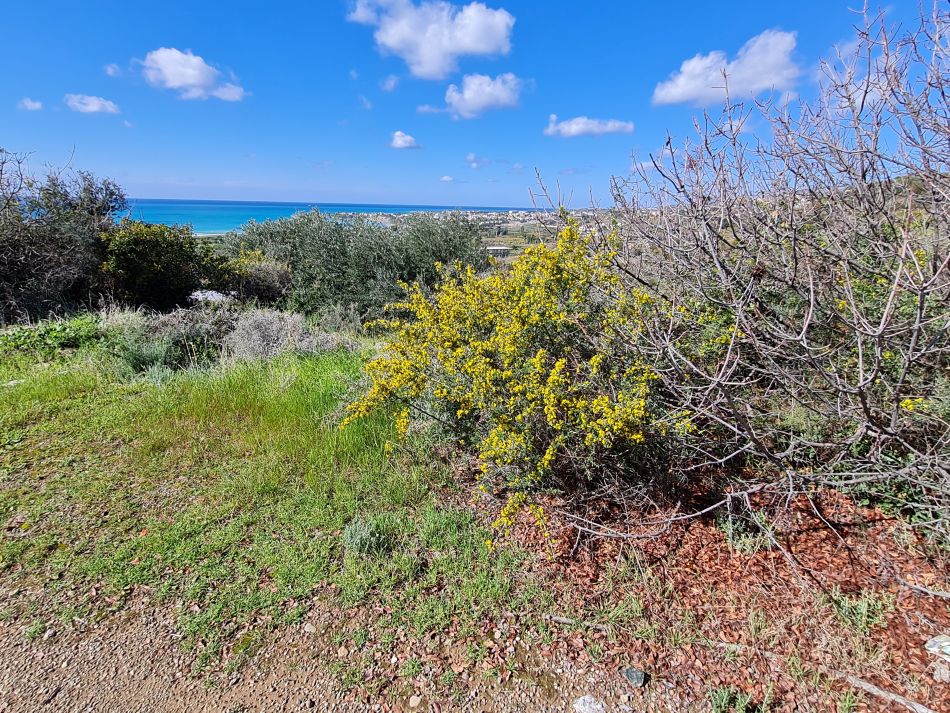 2023-02-07 14 Mavrokolympos to Paphos.jpg