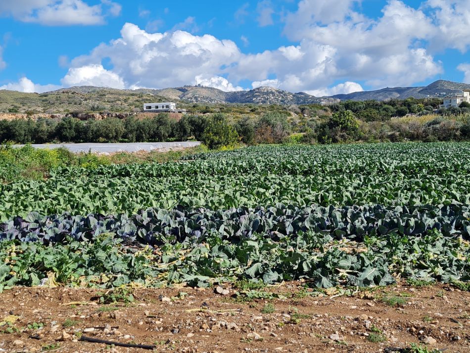 2023-02-07 16 Mavrokolympos to Paphos.jpg