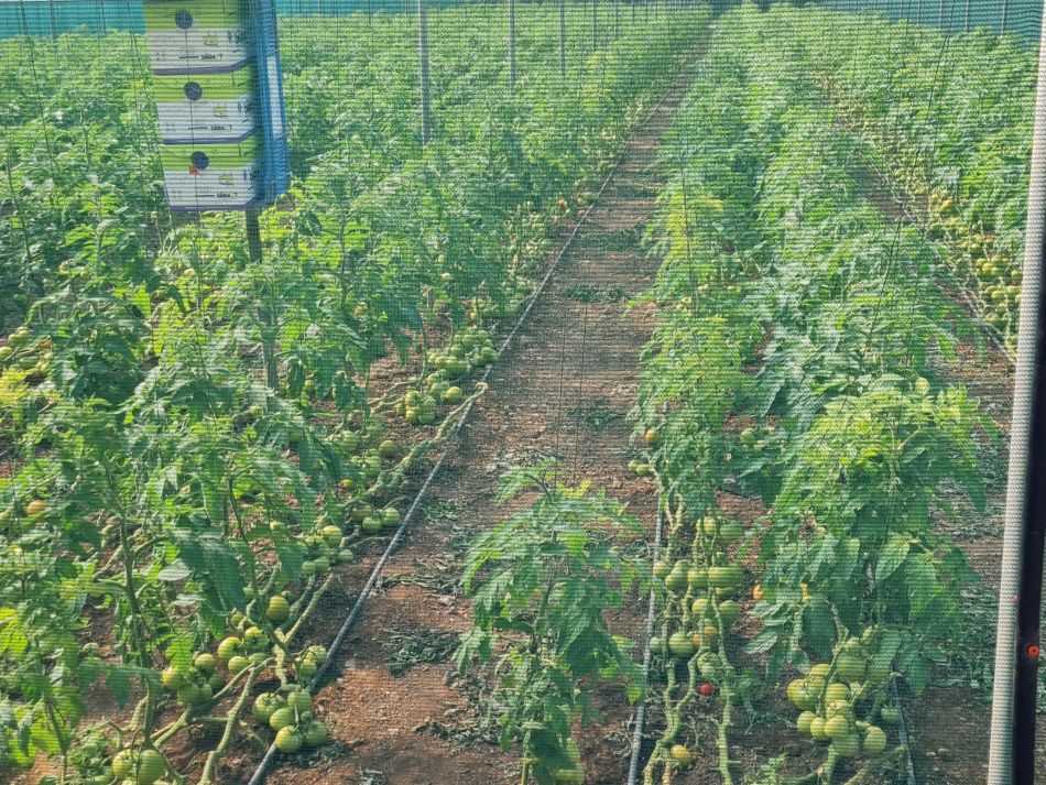 2023-02-07 17 Mavrokolympos to Paphos.jpg