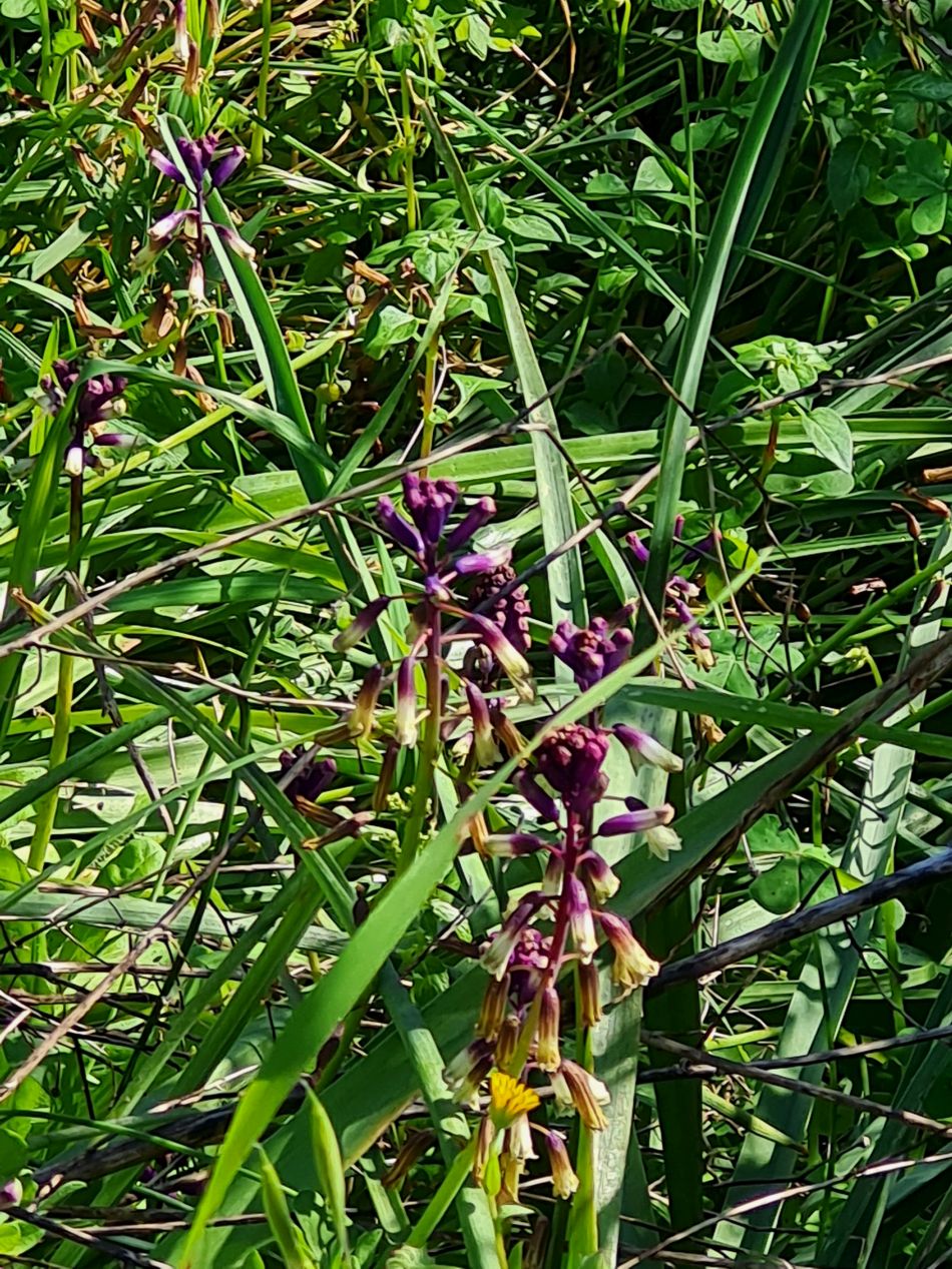 2023-02-07 20 Mavrokolympos to Paphos.jpg
