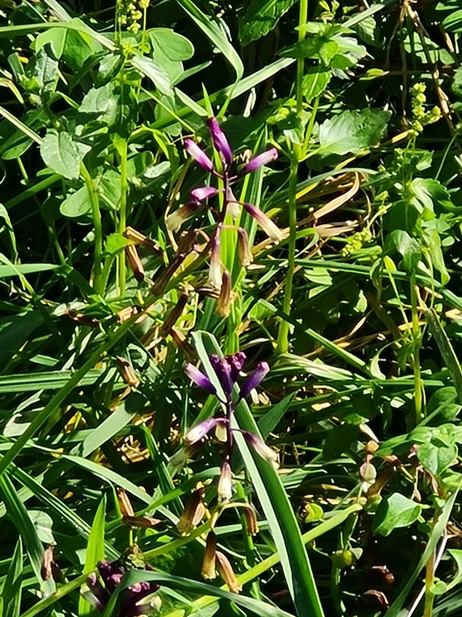 2023-02-07 21 Mavrokolympos to Paphos.jpg