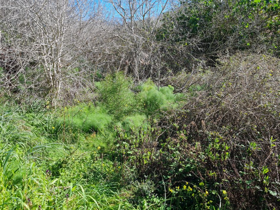 2023-02-07 22 Mavrokolympos to Paphos.jpg