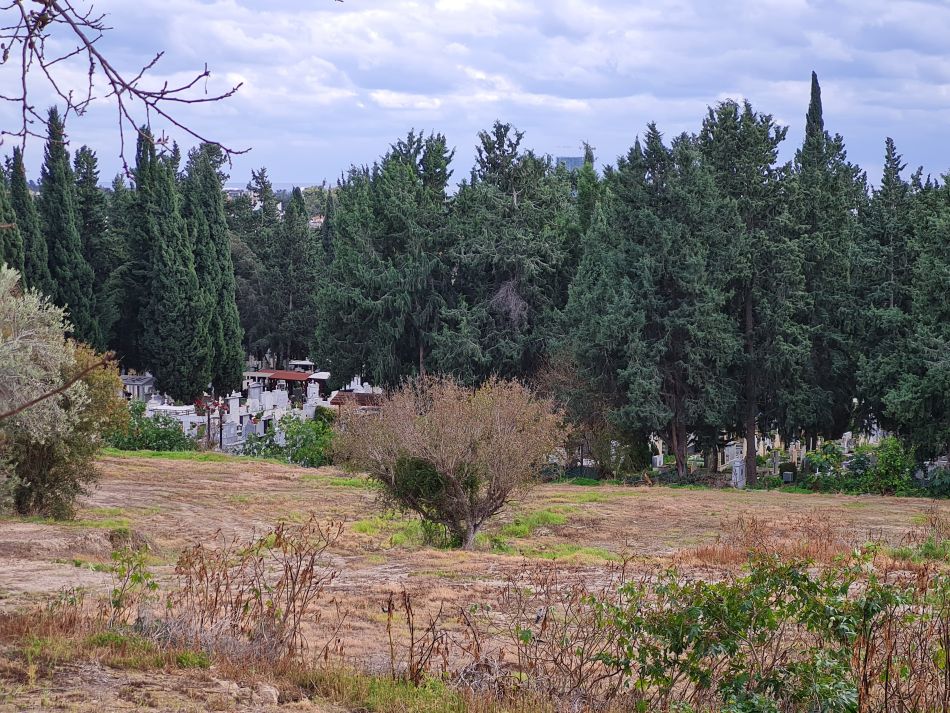 2023-02-07 35 Mavrokolympos to Paphos.jpg