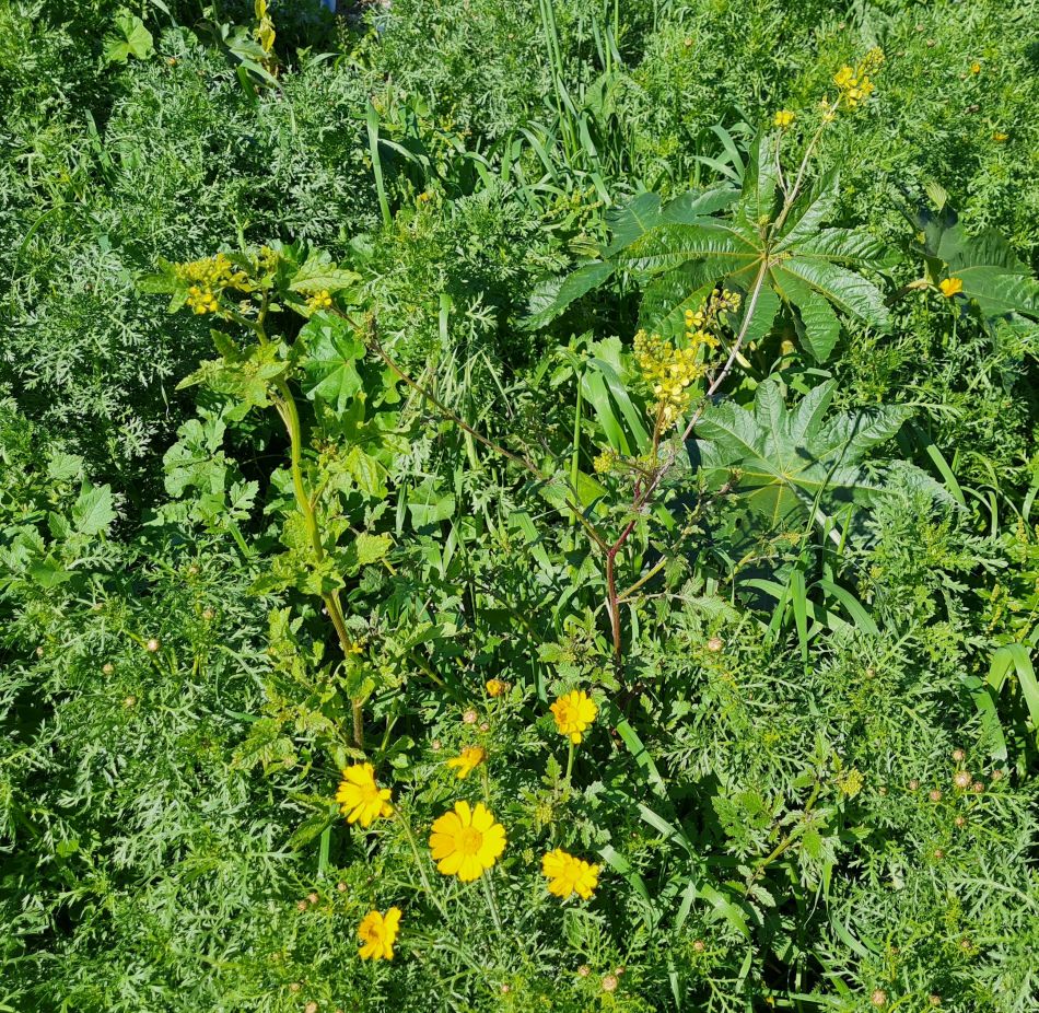 2023-02-09 01 Timi to Paphos.jpg