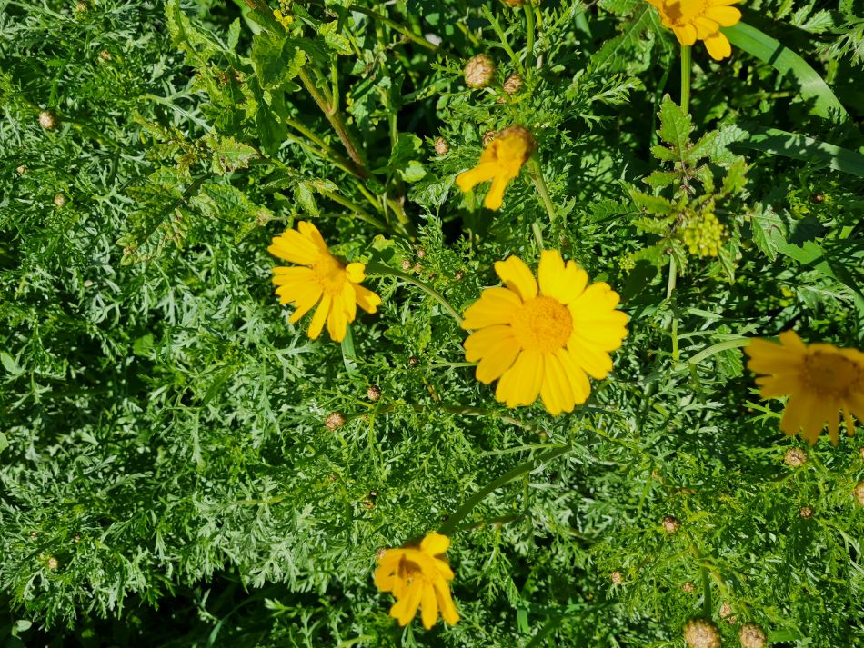 2023-02-09 02 Timi to Paphos.jpg