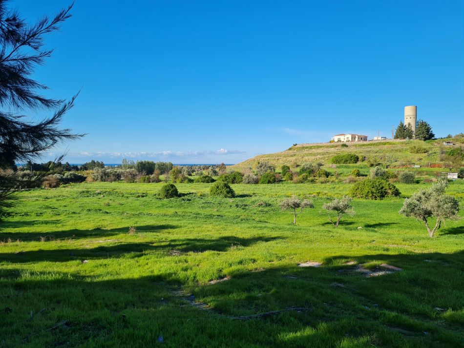 2023-02-09 05 Timi to Paphos.jpg