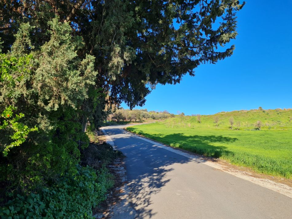 2023-02-09 06 Timi to Paphos.jpg