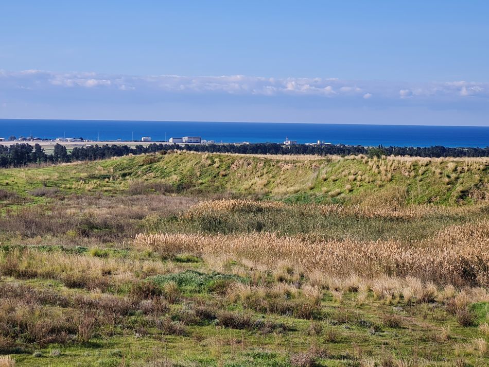 2023-02-09 07 Timi to Paphos.jpg