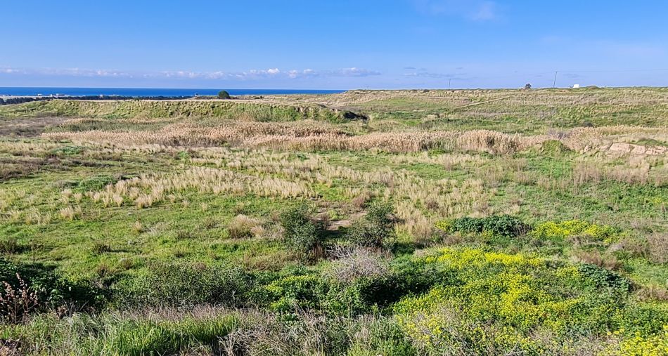 2023-02-09 08 Timi to Paphos.jpg