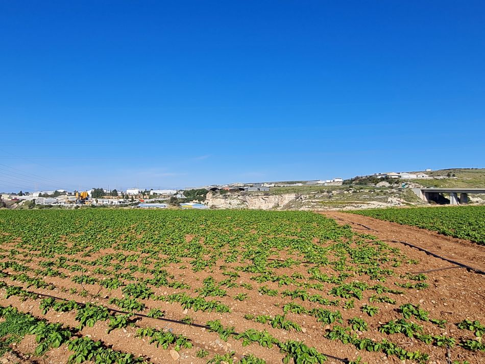 2023-02-09 09 Timi to Paphos.jpg