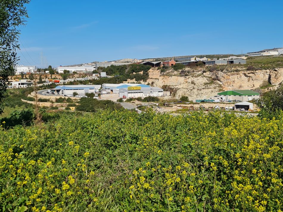 2023-02-09 11 Timi to Paphos.jpg