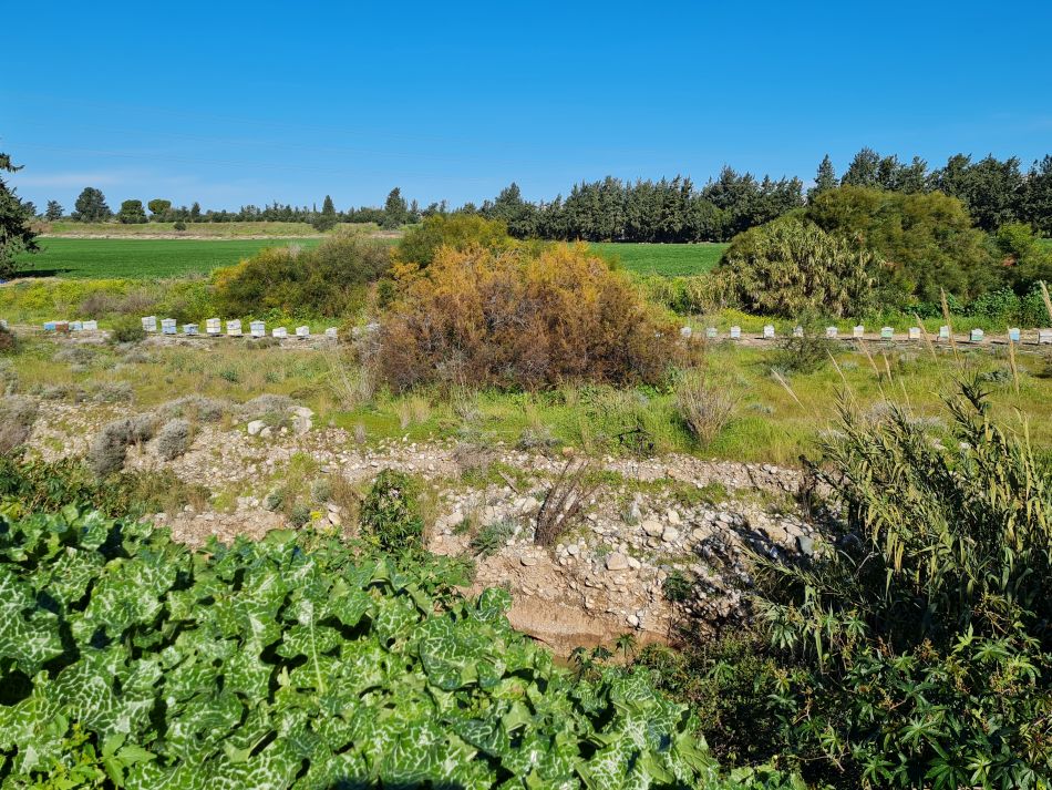 2023-02-09 15 Timi to Paphos.jpg