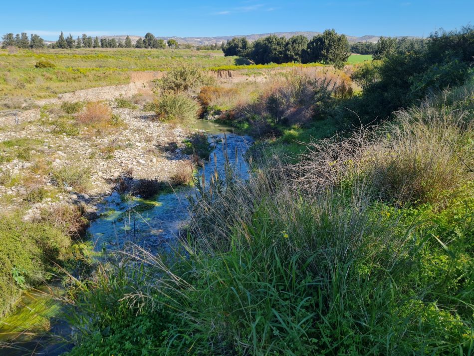 2023-02-09 16 Timi to Paphos.jpg