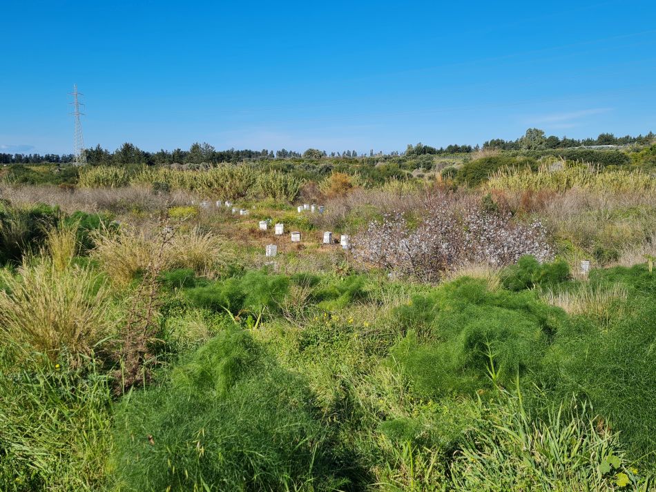 2023-02-09 17 Timi to Paphos.jpg