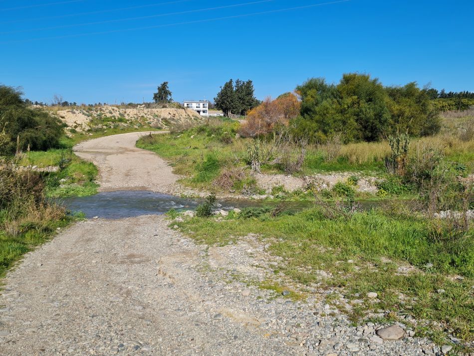 2023-02-09 18 Timi to Paphos.jpg