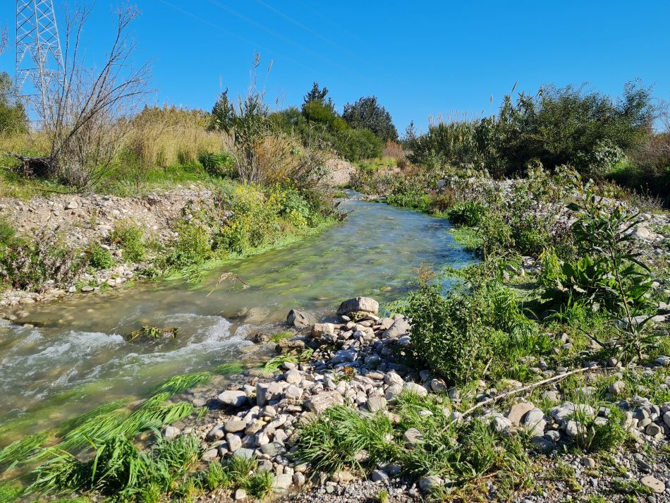 2023-02-09 19 Timi to Paphos.jpg