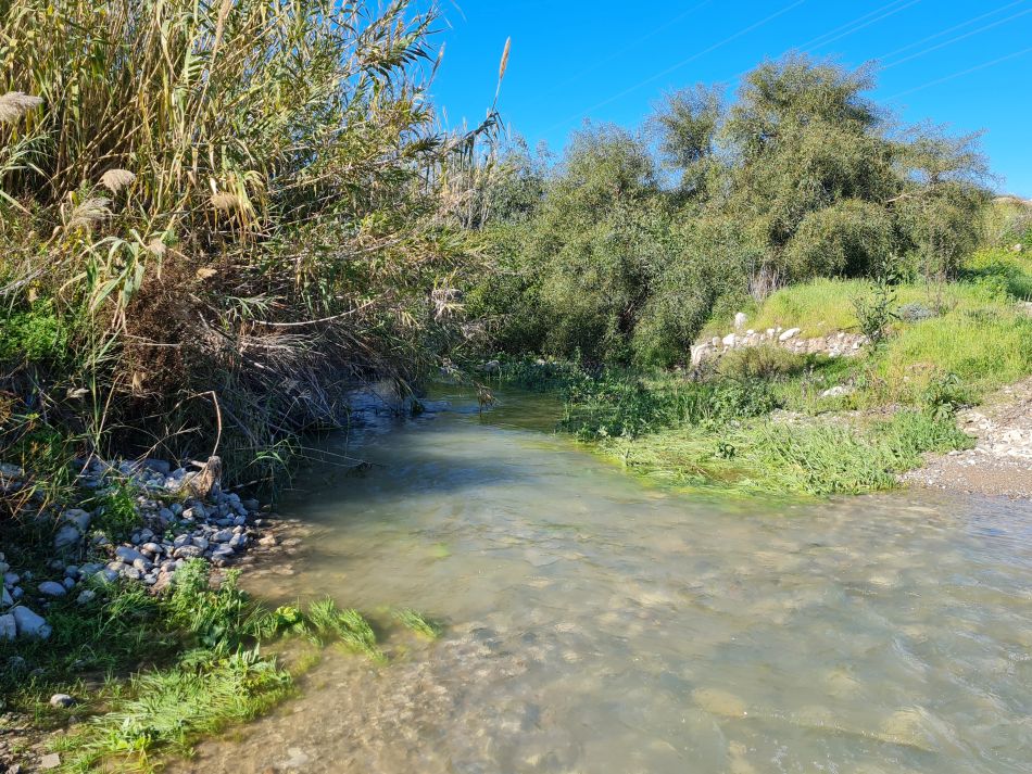 2023-02-09 20 Timi to Paphos.jpg