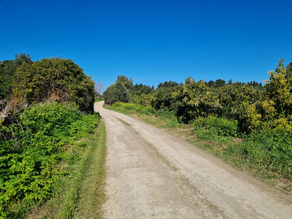 2023-02-09 21 Timi to Paphos.jpg