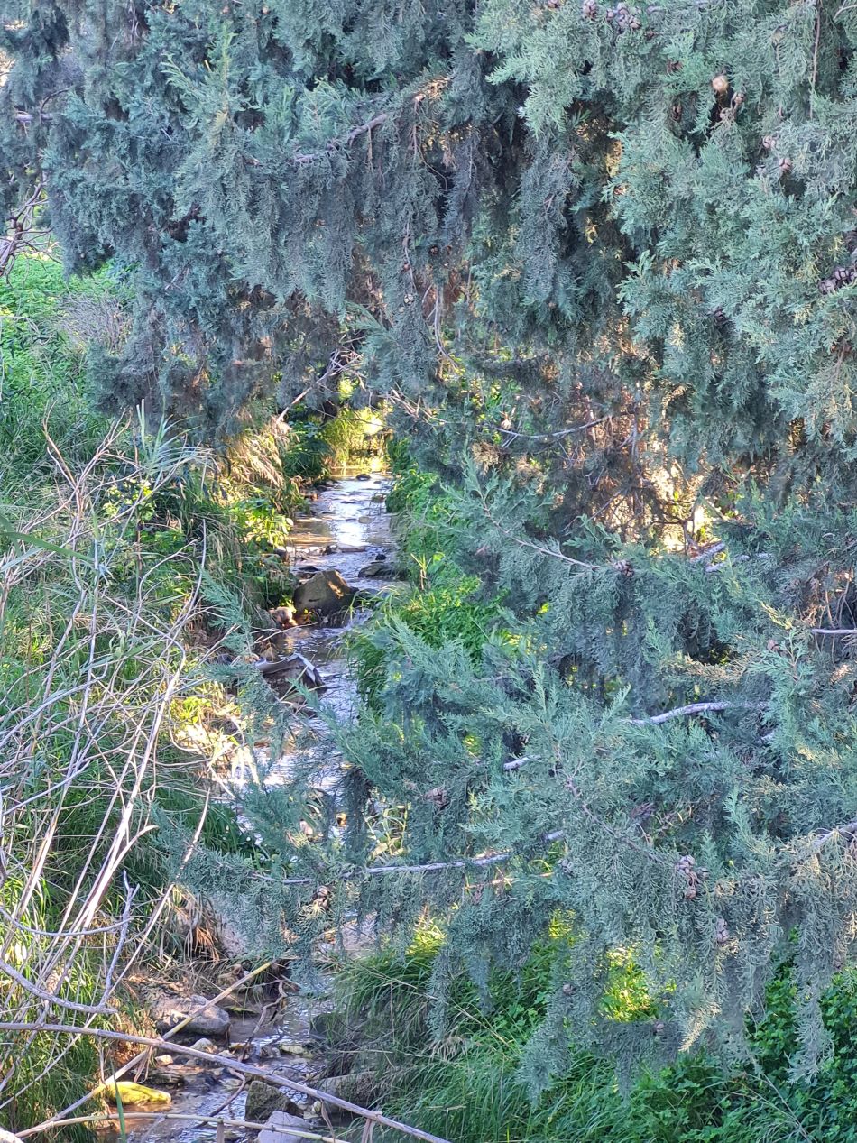 2023-02-09 22 Timi to Paphos.jpg