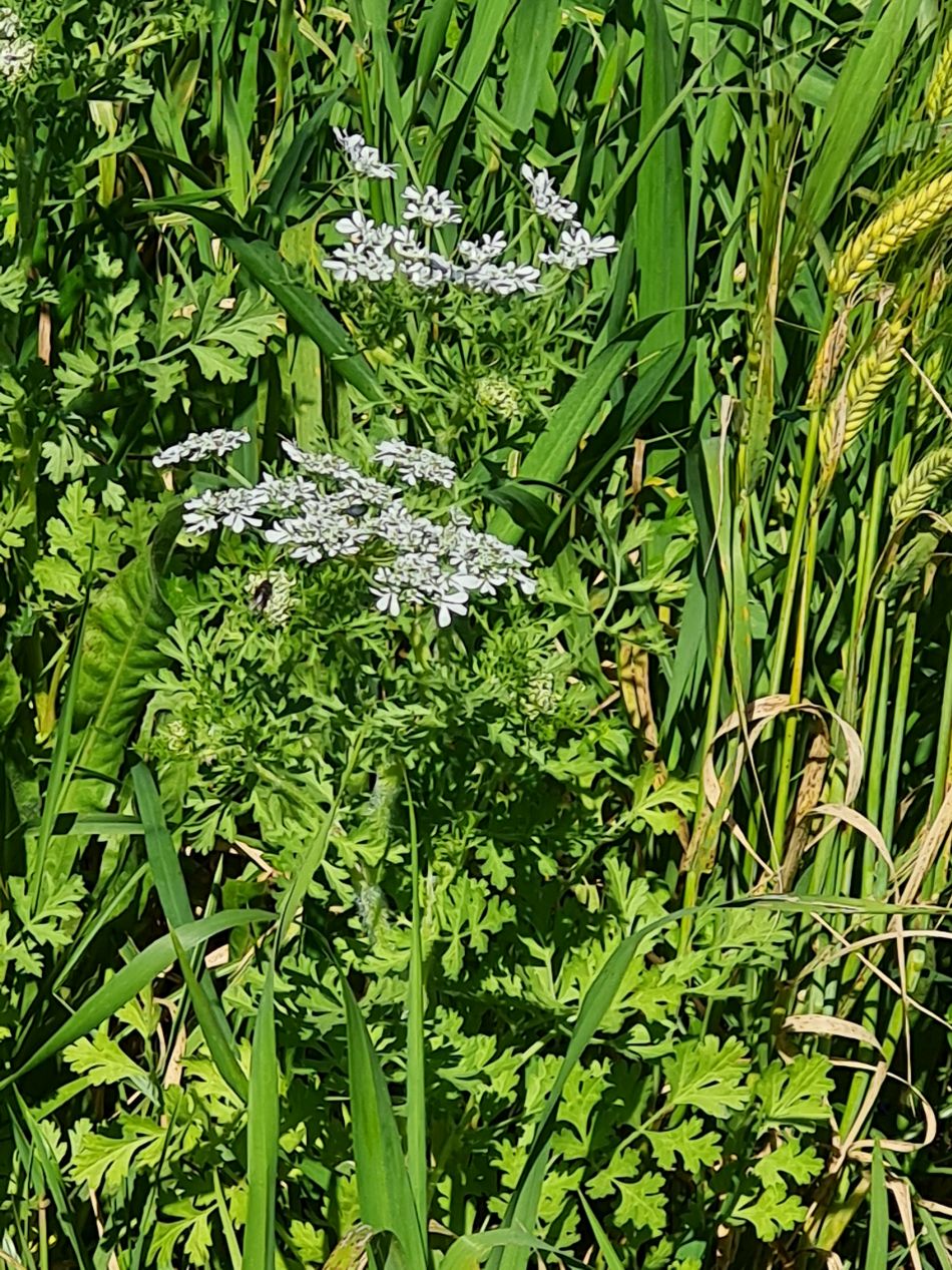 2023-02-09 23 Timi to Paphos.jpg