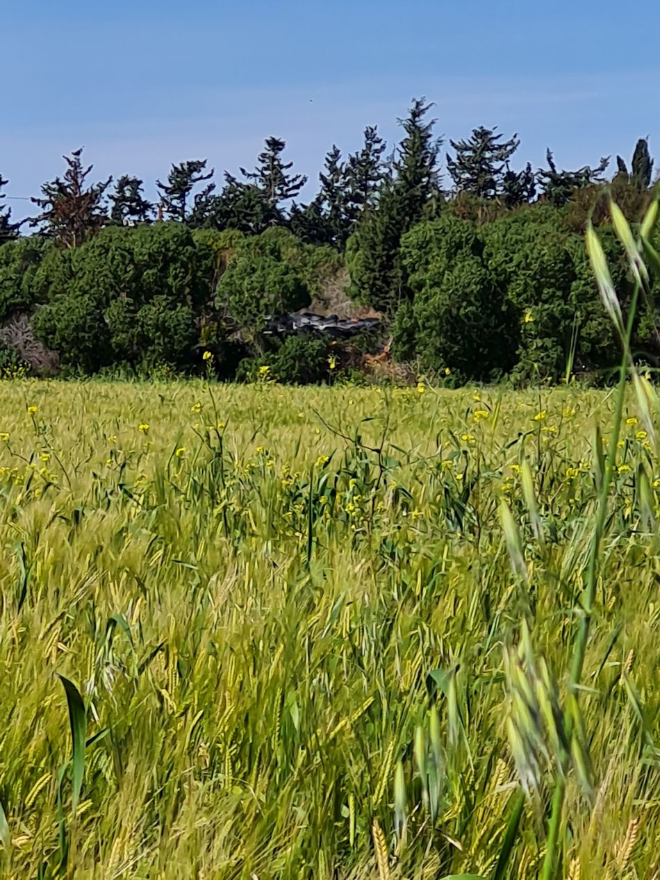 2023-02-09 24 Timi to Paphos.jpg