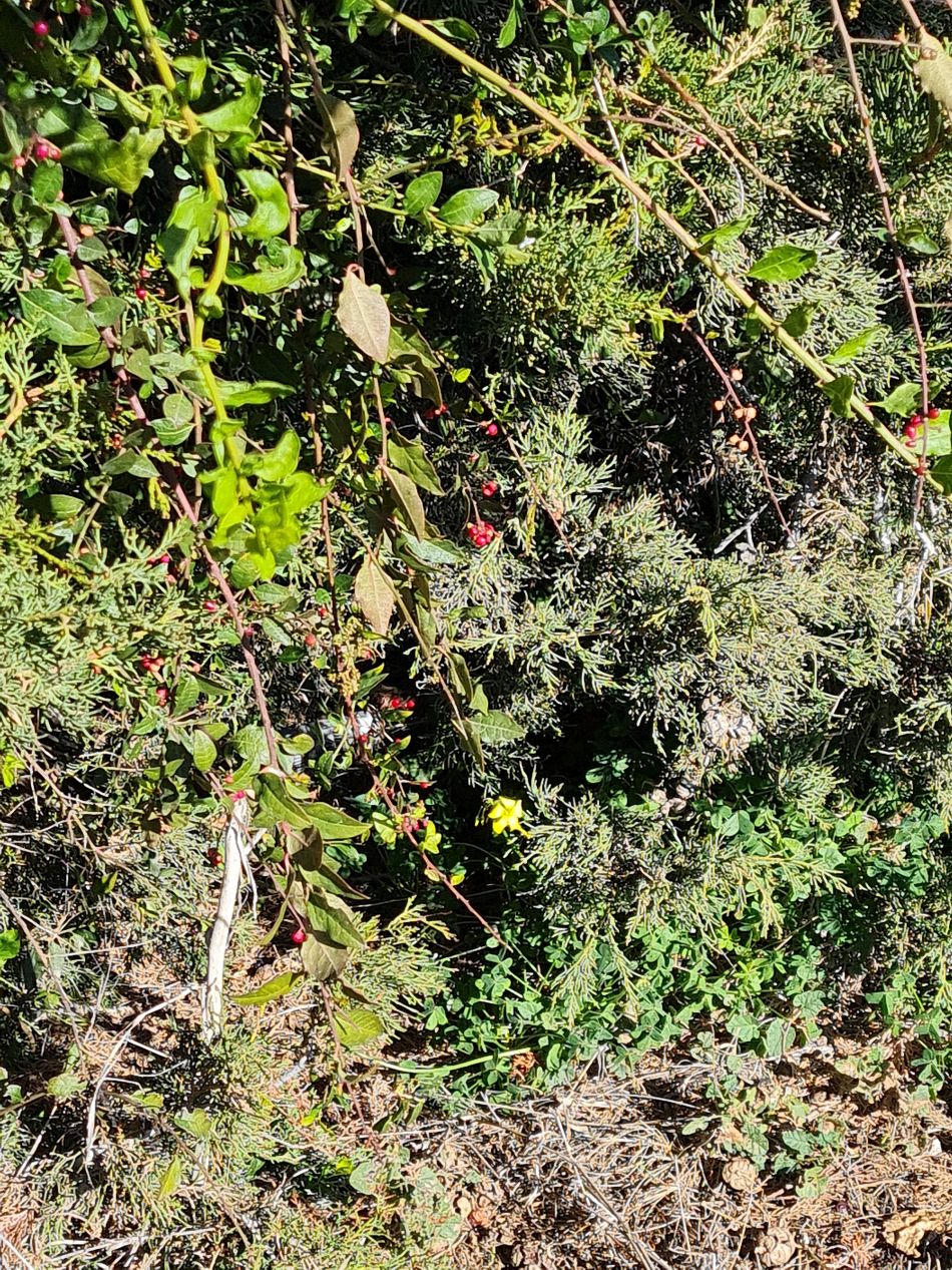 2023-02-09 26 Timi to Paphos.jpg