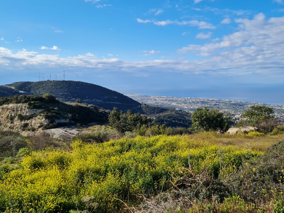 2023-02-10 11 Koili to Kissonerga.jpg