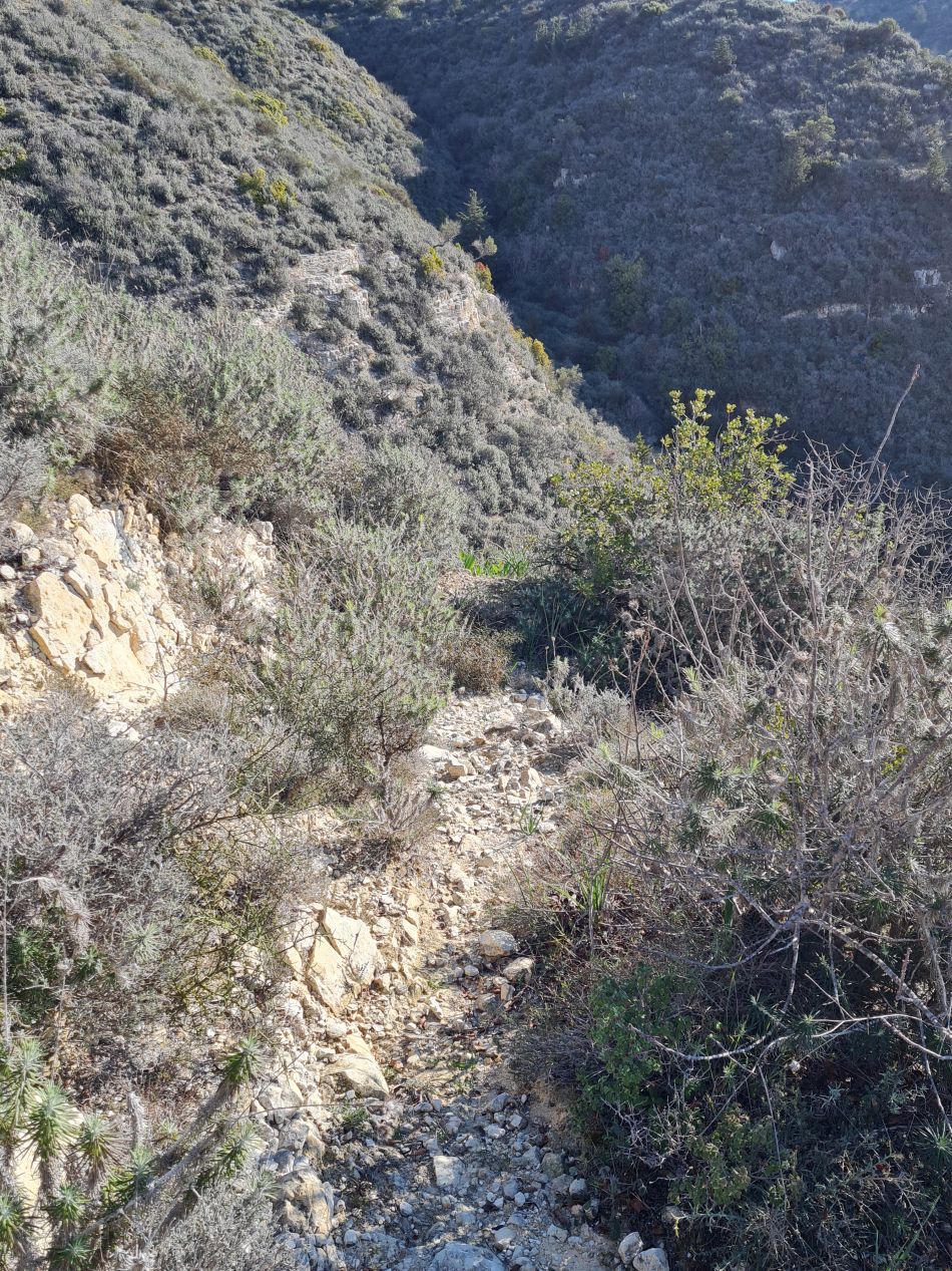 2023-02-10 12 Koili to Kissonerga.jpg