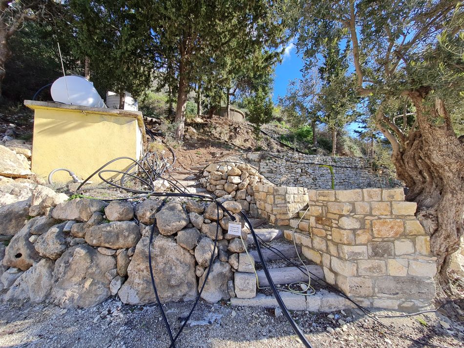 2023-02-10 17 Koili to Kissonerga.jpg