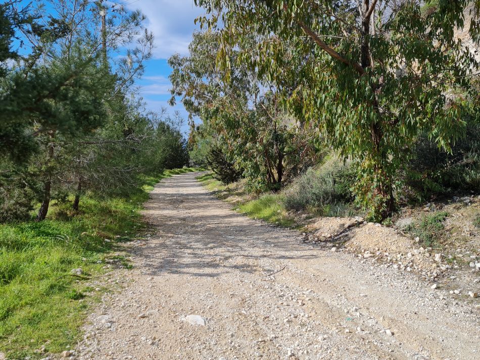 2023-02-10 27 Koili to Kissonerga.jpg