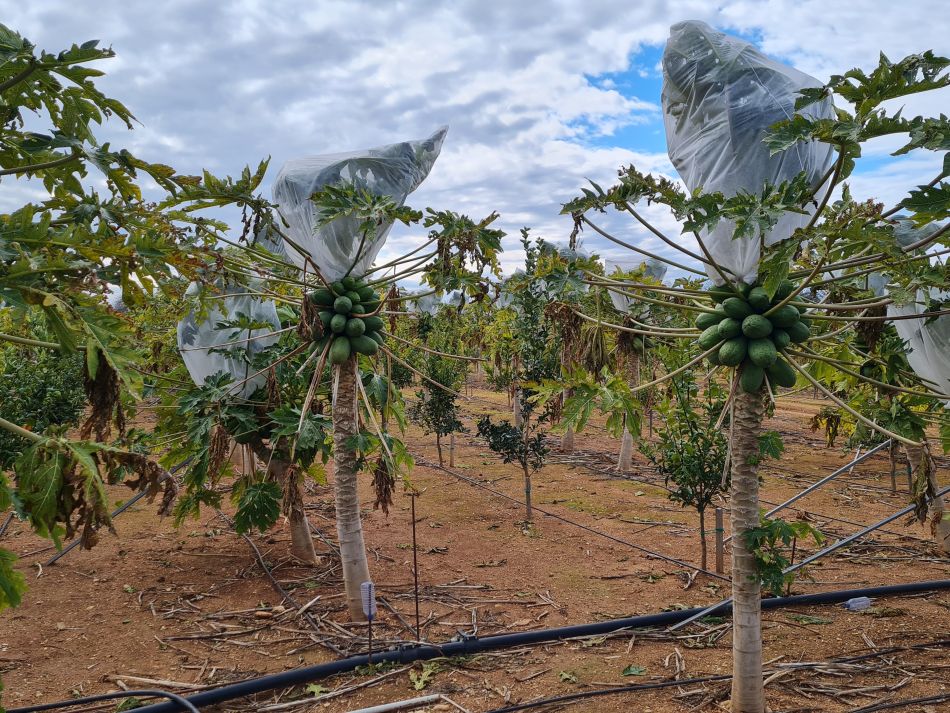 2023-02-10 30 Koili to Kissonerga.jpg