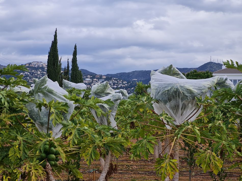 2023-02-10 31 Koili to Kissonerga.jpg