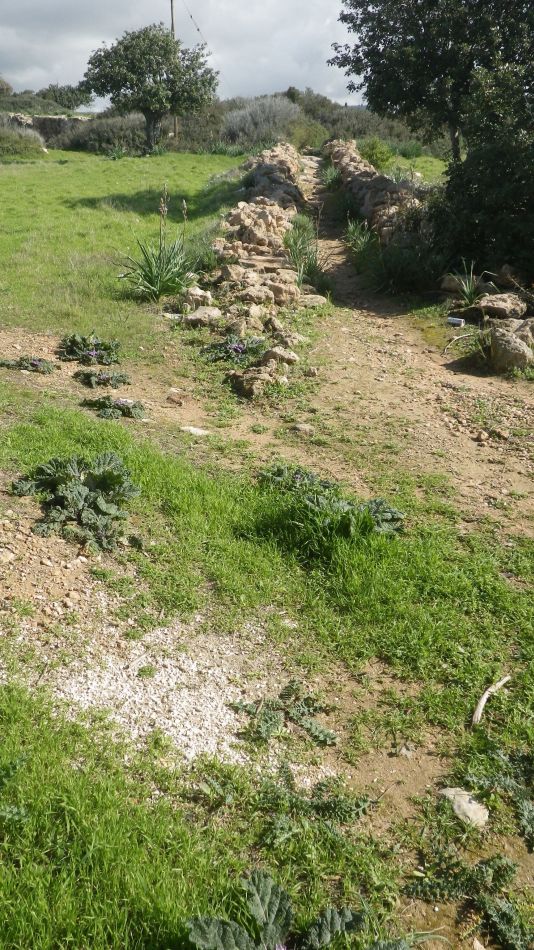 2019-02-02 04 Walk 9 Rare Footpath.JPG