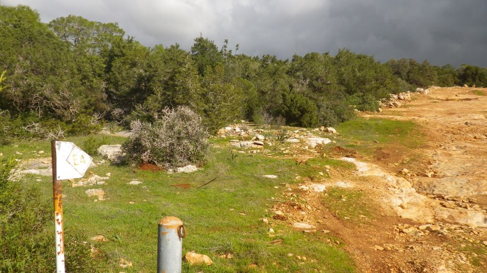 2019-02-02 08 Walk 9 Back on the E4.JPG